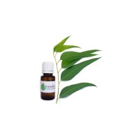 Huile Essentielle d'Eucalyptus citronné (citriodora)